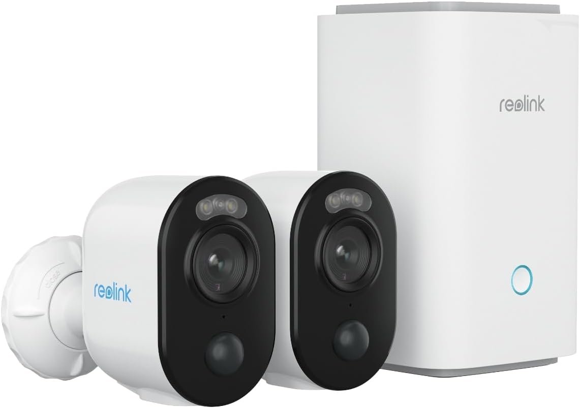 2 video cameras and NVR